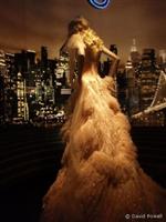 Nicole Kidman's dress from